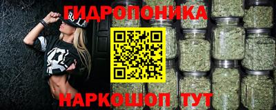 ГАЛЛЮЦИНОГЕННЫЕ ГРИБЫ Северобайкальск