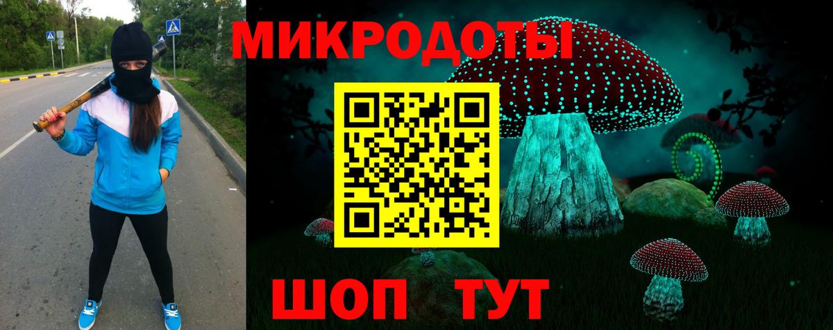 Балтийск  Галлюциногенные грибы Psilocybine cubensis  Вход с VPN 